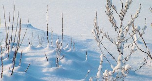 Sull'Italia arriva il Generale Inverno, temperature in calo e neve anche a quote basse fino ai primi di dicembre. 