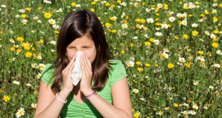 Allergie ai pollini e graminacee primavera 2017: sintomi e calendario della fioritura per prevenire il malessere. 