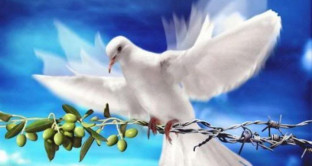 Buona domenica delle Palme 2017: aforismi sulla pace da scambiarsi con amici e parenti e frasi di Papa Francesco. 