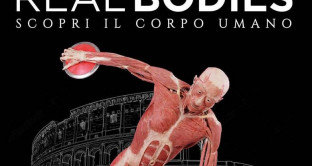 Mostra Real Bodies a Roma 2017: date e prezzi biglietti della rassegna dedicata al corpo umano che si terrà nella sede espositiva Guido Reni District. 