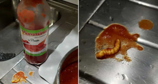 Un verme nella passata di pomodoro, posta la foto su Facebook e l'azienda risponde. 