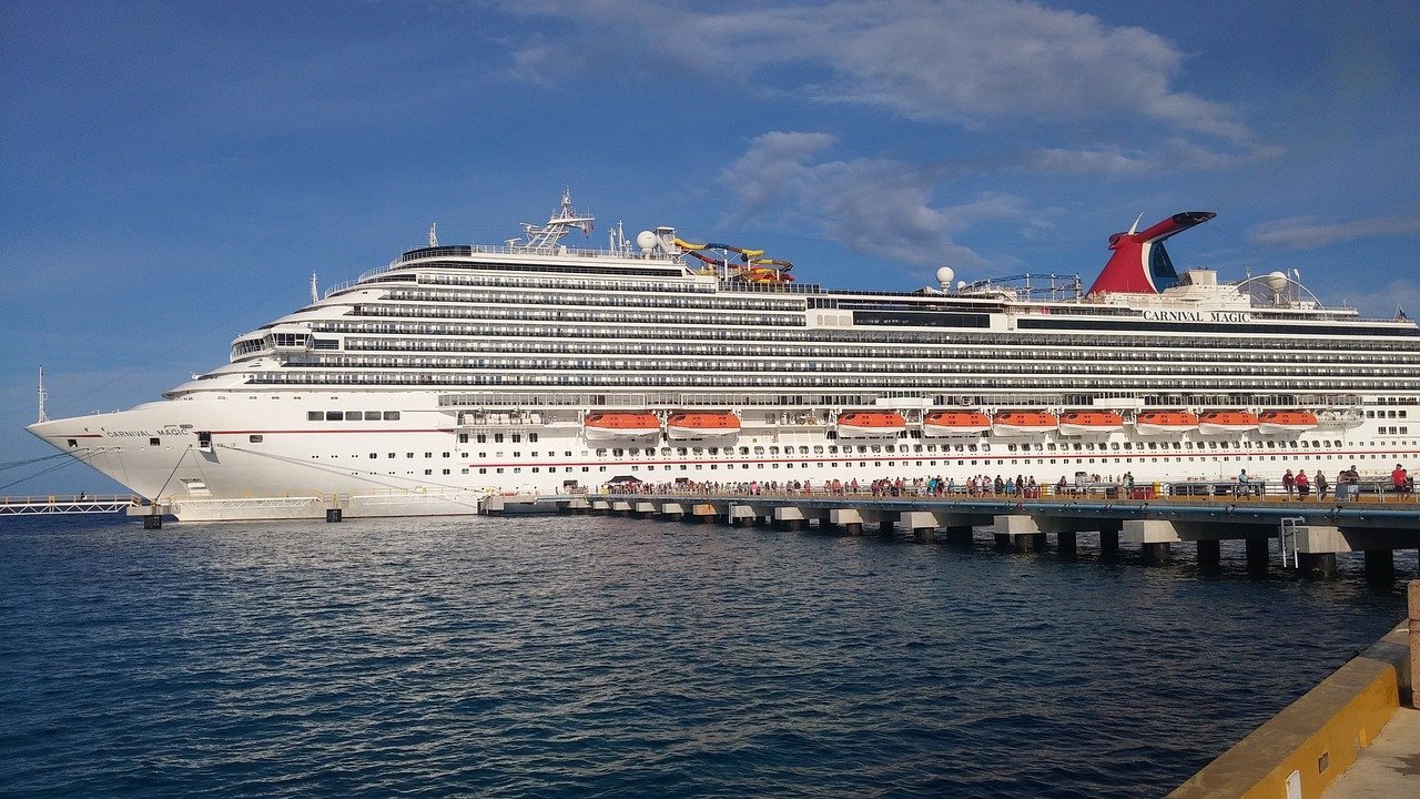 Nuovo debito spazzatura di Carnival