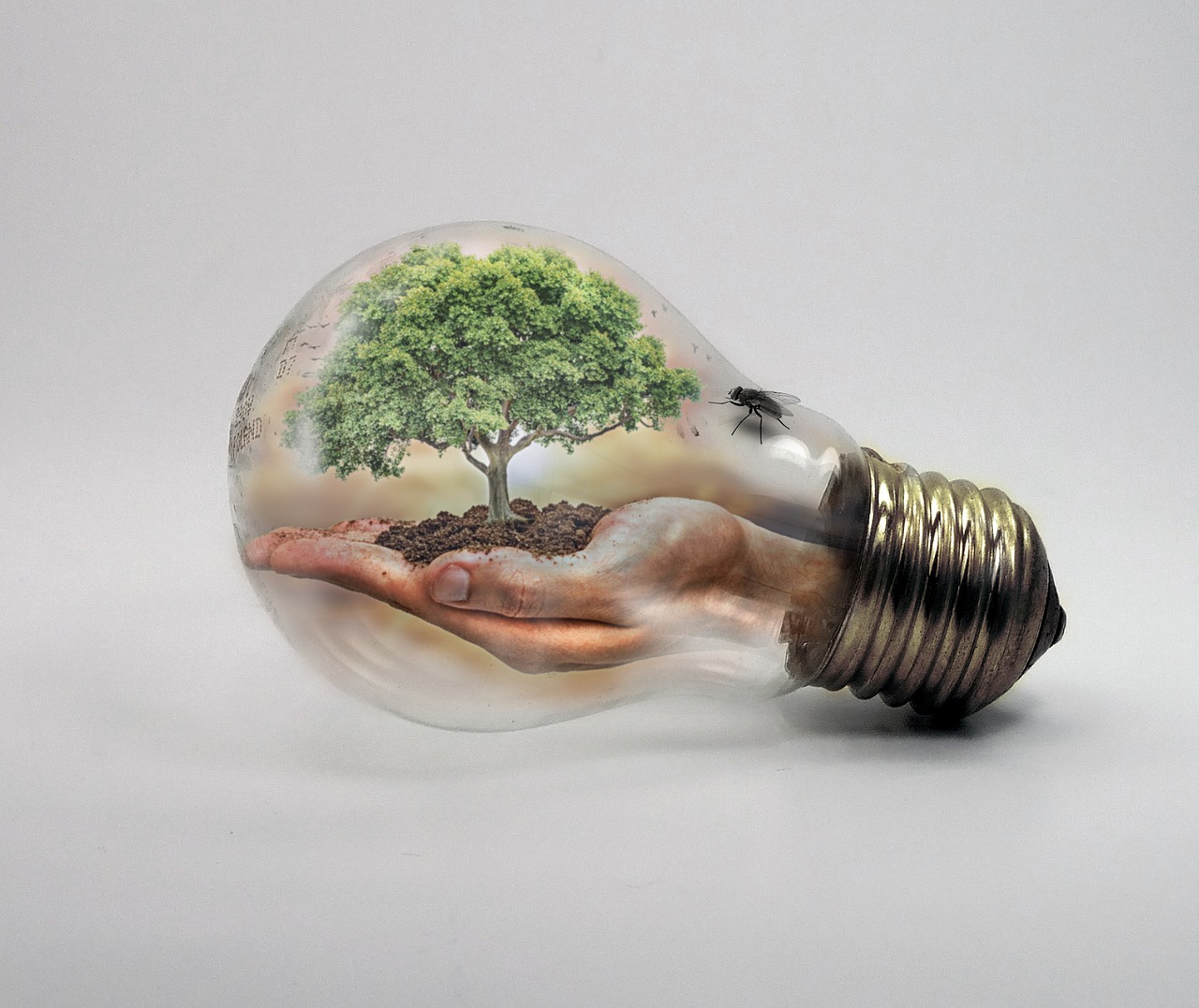 riscaldamento globale