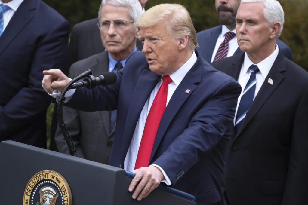 vittoria Trump