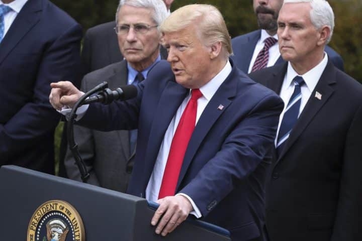 vittoria Trump